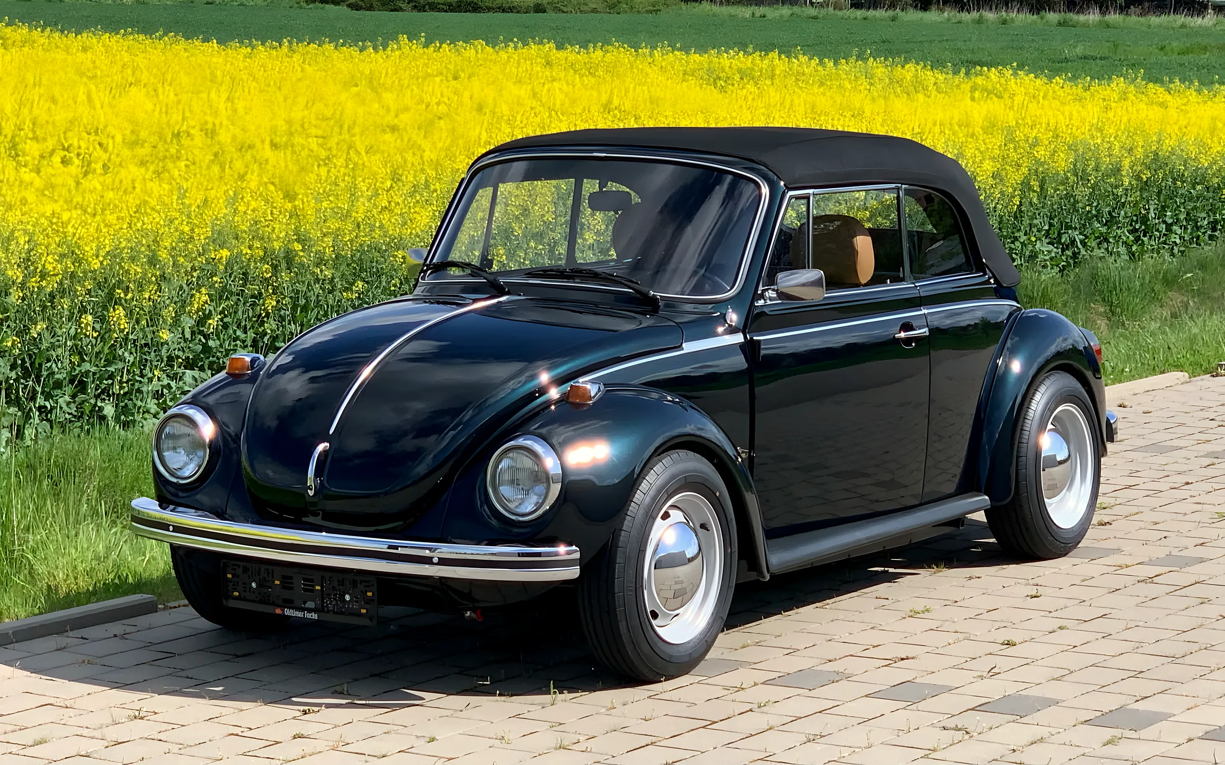 VW Käfer Cabriolet in Dunkelgrün vor einem blühenden Rapsfeld